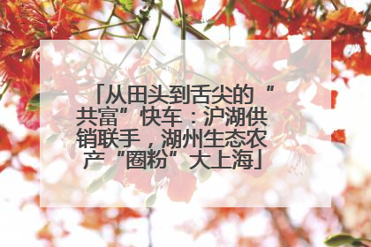 从田头到舌尖的“共富”快车：沪湖供销联手，湖州生态农产“圈粉”大上海