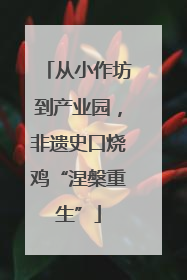 从小作坊到产业园，非遗史口烧鸡“涅槃重生”