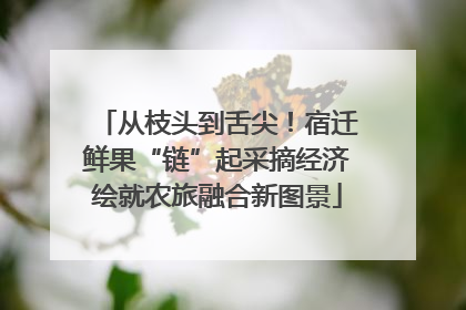 从枝头到舌尖！宿迁鲜果“链”起采摘经济绘就农旅融合新图景