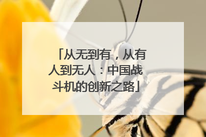 从无到有，从有人到无人：中国战斗机的创新之路