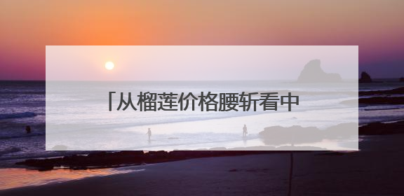 从榴莲价格腰斩看中老铁路的多重价值