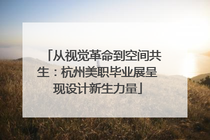 从视觉革命到空间共生：杭州美职毕业展呈现设计新生力量