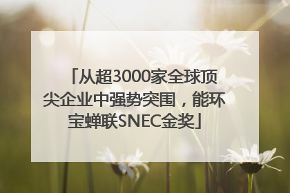 从超3000家全球顶尖企业中强势突围，能环宝蝉联SNEC金奖