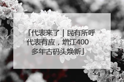 代表来了｜民有所呼代表有应，增江400多年古码头焕新