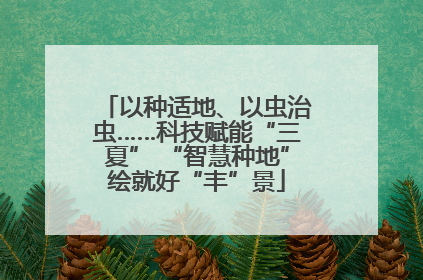 以种适地、以虫治虫……科技赋能“三夏” “智慧种地”绘就好“丰”景