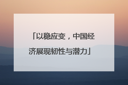 以稳应变，中国经济展现韧性与潜力
