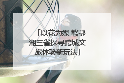 以花为媒 赣鄂湘三省探寻跨城文旅体验新玩法