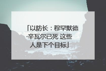 以防长：穆罕默德·辛瓦尔已死 这些人是下个目标