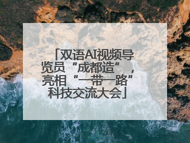 双语AI视频导览员“成都造”，亮相“一带一路”科技交流大会
