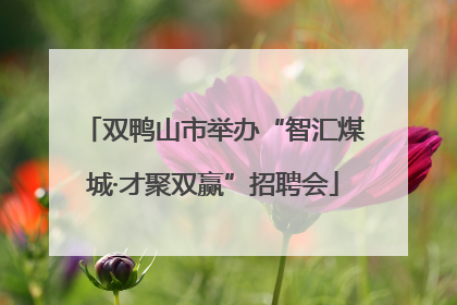 双鸭山市举办“智汇煤城·才聚双赢”招聘会