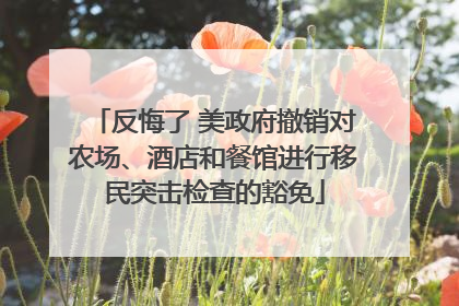 反悔了 美政府撤销对农场、酒店和餐馆进行移民突击检查的豁免