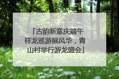 古韵新章庆端午 祥龙巡游展风华，青山村举行游龙盛会