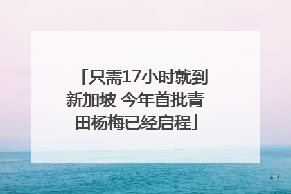 只需17小时就到新加坡 今年首批青田杨梅已经启程