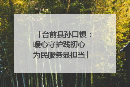 台前县孙口镇：暖心守护践初心 为民服务显担当