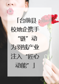 台前县：校地企携手“链”动 为羽绒产业注入“匠心动能”