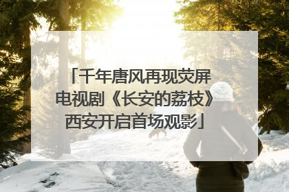 千年唐风再现荧屏 电视剧《长安的荔枝》西安开启首场观影