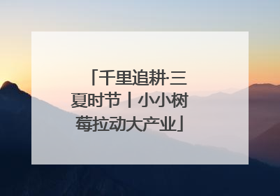 千里追耕·三夏时节丨小小树莓拉动大产业