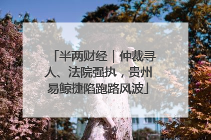 半两财经｜仲裁寻人、法院强执，贵州易鲸捷陷跑路风波
