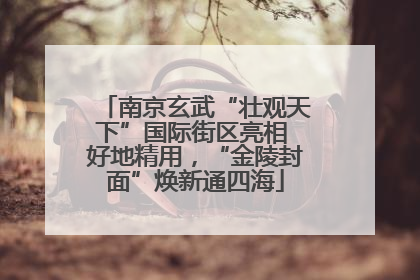南京玄武“壮观天下”国际街区亮相 好地精用，“金陵封面”焕新通四海