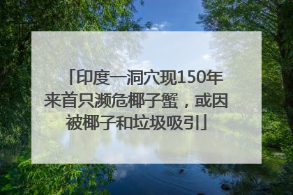 印度一洞穴现150年来首只濒危椰子蟹，或因被椰子和垃圾吸引