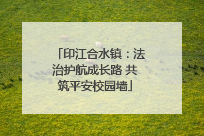 印江合水镇：法治护航成长路 共筑平安校园墙