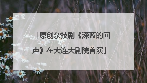 原创杂技剧《深蓝的回声》在大连大剧院首演