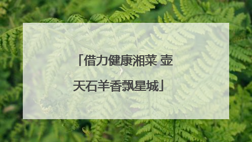 借力健康湘菜 壶天石羊香飘星城