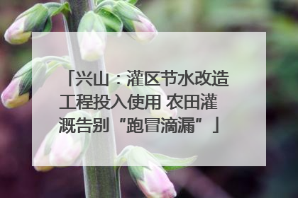 兴山：灌区节水改造工程投入使用 农田灌溉告别“跑冒滴漏”