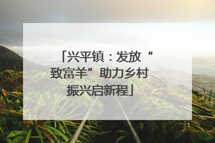 兴平镇：发放“致富羊”助力乡村振兴启新程