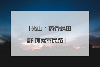 光山：药香飘田野 铺就富民路