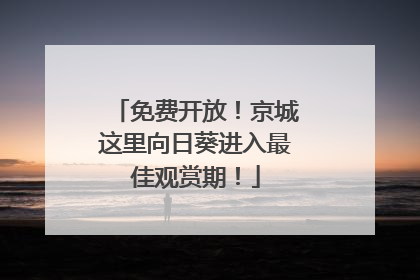 免费开放！京城这里向日葵进入最佳观赏期！
