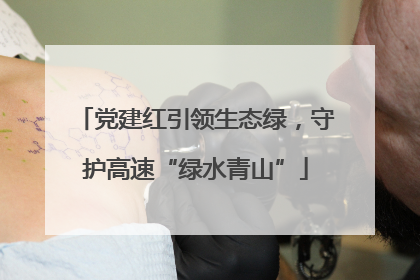 党建红引领生态绿，守护高速“绿水青山”