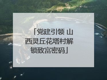 党建引领 山西灵丘花塔村解锁致富密码