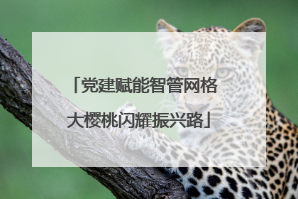 党建赋能智管网格 大樱桃闪耀振兴路