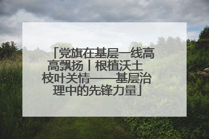 党旗在基层一线高高飘扬丨根植沃土 枝叶关情——基层治理中的先锋力量
