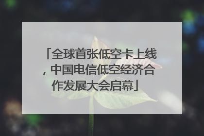 全球首张低空卡上线，中国电信低空经济合作发展大会启幕