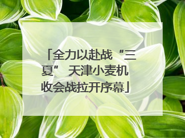 全力以赴战“三夏” 天津小麦机收会战拉开序幕