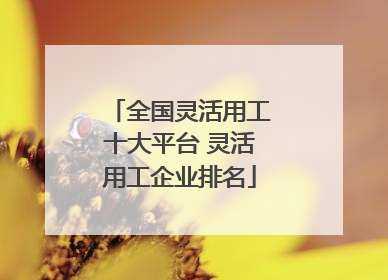 全国灵活用工十大平台 灵活用工企业排名