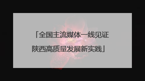全国主流媒体一线见证陕西高质量发展新实践