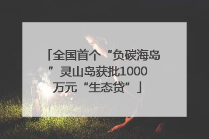 全国首个“负碳海岛”灵山岛获批1000万元“生态贷”