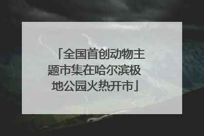 全国首创动物主题市集在哈尔滨极地公园火热开市