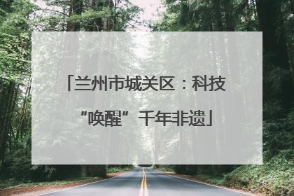 兰州市城关区：科技“唤醒”千年非遗