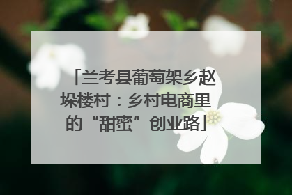 兰考县葡萄架乡赵垛楼村：乡村电商里的“甜蜜”创业路