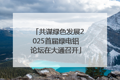 共谋绿色发展2025首届绿电铝论坛在大通召开