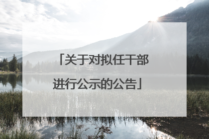 关于对拟任干部进行公示的公告