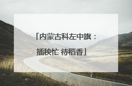 内蒙古科左中旗：插秧忙 待稻香