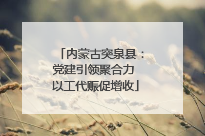 内蒙古突泉县：党建引领聚合力 以工代赈促增收