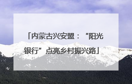 内蒙古兴安盟：“阳光银行”点亮乡村振兴路