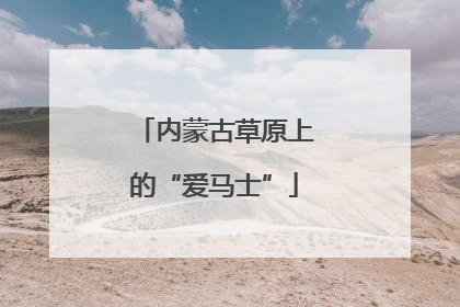 内蒙古草原上的“爱马士”