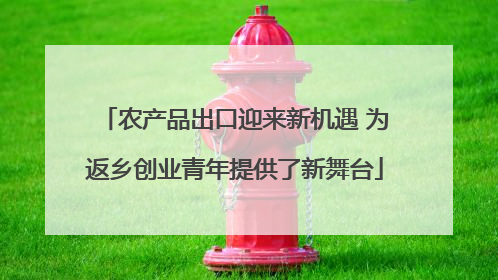 农产品出口迎来新机遇 为返乡创业青年提供了新舞台